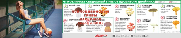 ГАЛЛЮЦИНОГЕННЫЕ ГРИБЫ Богородск