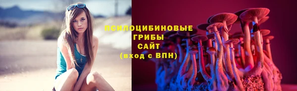 мяу мяу кристалл Богданович
