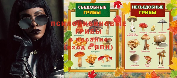 a pvp Богородицк