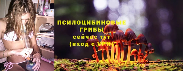 мяу мяу кристалл Богданович