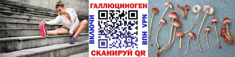 купить наркоту  ссылка на мегу как зайти  Галлюциногенные грибы GOLDEN TEACHER  Владикавказ 