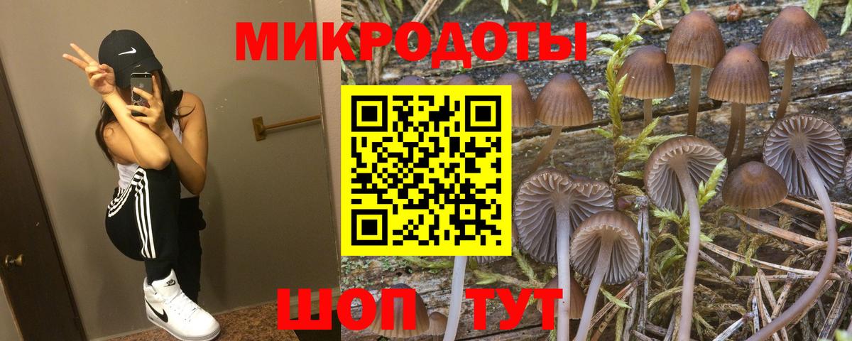 Галлюциногенные грибы мухоморы Владикавказ