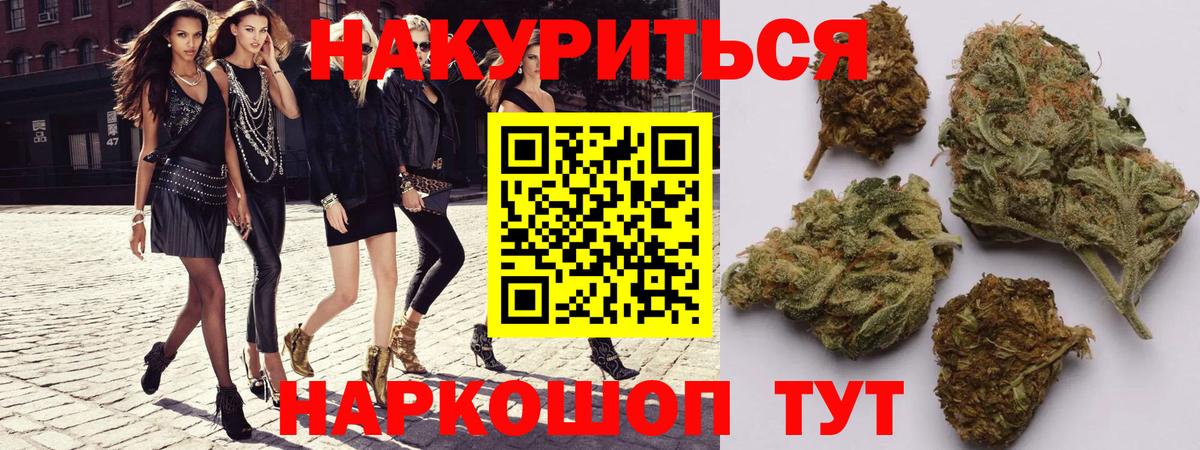 Конопля тримм  Каннабис планчик  Вход с VPN  Владикавказ 